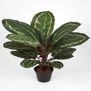 Maranta plante factice dans un pot H 55 cm tres fournie