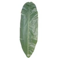 Feuille de bananier artificielle en tergal superbe 115 cm
