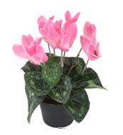 Cyclamen factice en pot H 20 cm D 15 cm qualite top Rose soutenu