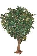 Ficus Benjamina Geant factice H 350 cm L 220 cm 9280 feuilles sur platine
