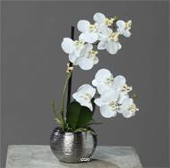 Orchidée phalaenopsis artificielle en pot céramique, H 30 cm Crème