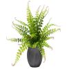 Fougère factice blechnum en épi, H 30 cm D 35 cm, en pot