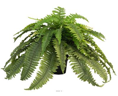 Nephrolepis Boston factice en pot H 40 cm, D 60 cm