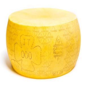 Meule de Grana Padano factice D 450 x 240 mm plastique soufflé