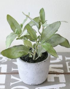 Herbe aromatique artificielle Sauge H 26 cm