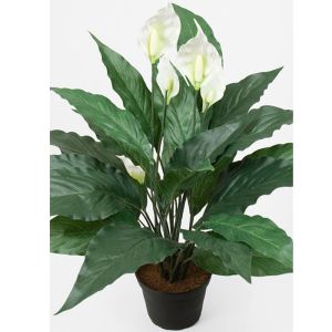 Spathiphyllum factice dans un pot H 43 cm 20 feuilles et 5 fleurs