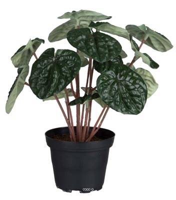 Peperomia plante verte factice en pot lesté H 20 cm D 20 cm superbe,Vert