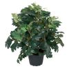 Cissus en pot factice D 23 cm, H 35 cm