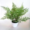 Fougère Athyrium factice dans un pot PVC H 37 cm haute produit