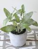 Herbe aromatique artificielle Sauge H 26 cm