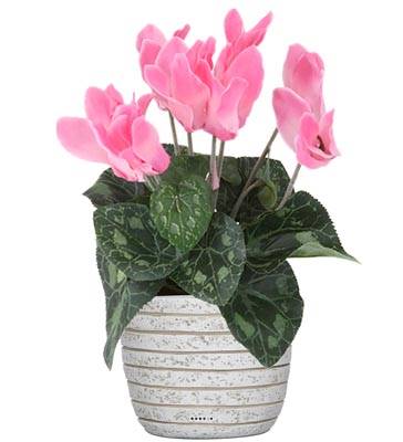 Cyclamen factice en pot H 20 cm D 15 cm qualite top Rose soutenu