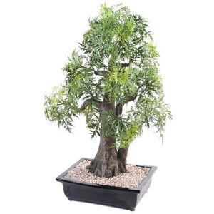 Bonsaï Aralia factice H 80 cm D 50 cm en pot