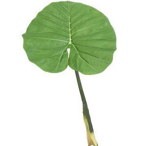 Feuille de Colocasia factice, grande taille, H 95 cm