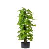 Plante verte sur pied, Hosta factice en pot, H 90 cm D 26 cm