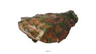 Huitre factice numero 5 longueur 6 cm et largeur 4 cm superbe et originale