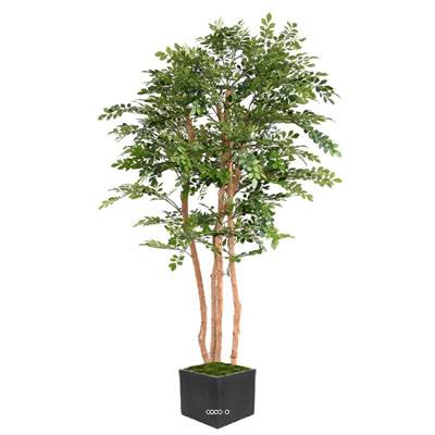 Acacia artificiel eco 4 troncs Naturels en pot H 200 cm Vert