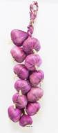 Tresse d'ail artificielle violette factice x10 têtes L 50 cm touché réel