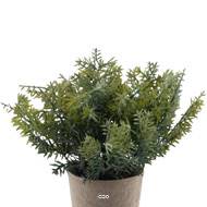Thym herbe aromatique factice touché réel