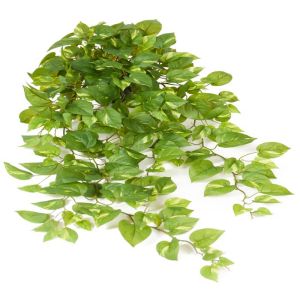 Pothos factice en pot, feuillage retombant L 100 cm