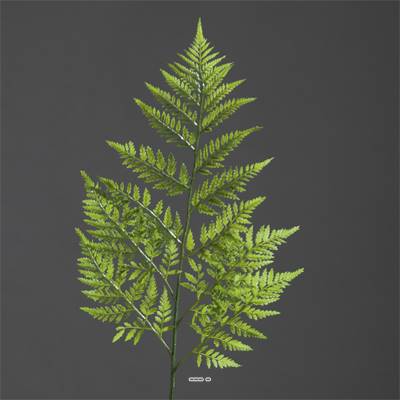 Feuille branche de fougere artificielle des forets H 78 cm superbe