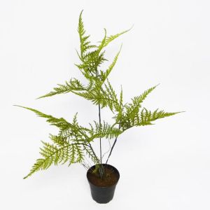 Asparagus Plumosus plante verte factice dans un pot H 45 cm tres originale