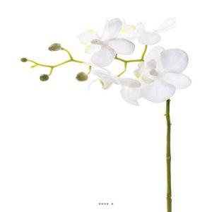 Orchidee Phalaenopsis Artificiel Blanc H 30 cm mini fleurons