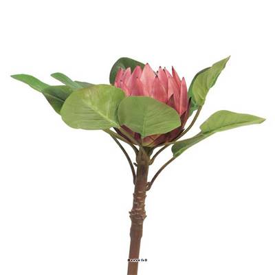 Fleur de Protea factice sur tige avec son feuillage, H 84 cm