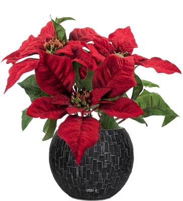 Poinsettia factice en Pot H 26 cm tres dense 5 fleurs Rouge