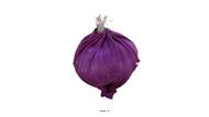 Tete d'ail violet factice D 5,5 cm et H 6,5 cm environ