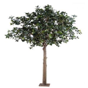 Camelia du japon factice H 300 cm Tronc bois Feuillage tergal L 230 cm sur platine