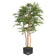 Acacia artificiel eco 4 troncs Naturels en pot H 200 cm Vert
