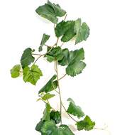 Guirlande factice de feuilles de vigne en tissu lg 230 cm Vert
