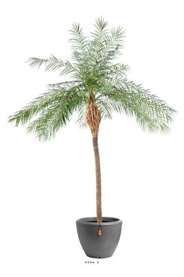 Palmier Phoenix factice H 190 cm D 150 cm en pot