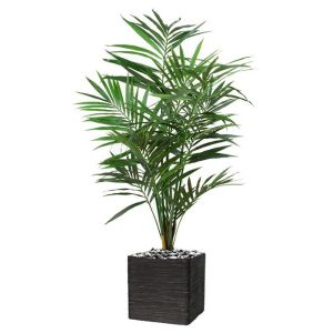 Palmier Kentia factice H 120 cm Dense et Aerien en pot