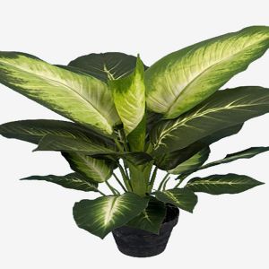 Dieffenbachia factice en pot H 60 cm, D 57 cm