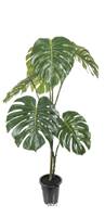 Monstera factice sur grand pied en pot  H 120 cm, D 65 cm