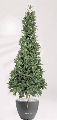 Laurier Pyramide factice luxe H 110 cm 1258 feuilles en pot