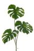 Feuilles de Philodendron artificielle X3 en piquet H 73 cm